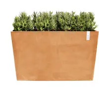Ecopot's Pariisi ruukku