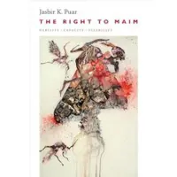 Book Right to Maim: Debility, Capacity, Disability